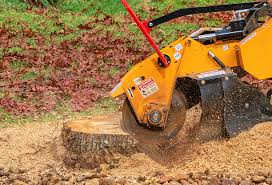 Brunswick, OH Tree Care Company